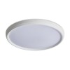 Потолочный светильник Freya FR6211CL-L24W