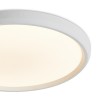 Потолочный светильник Freya FR6211CL-L24W