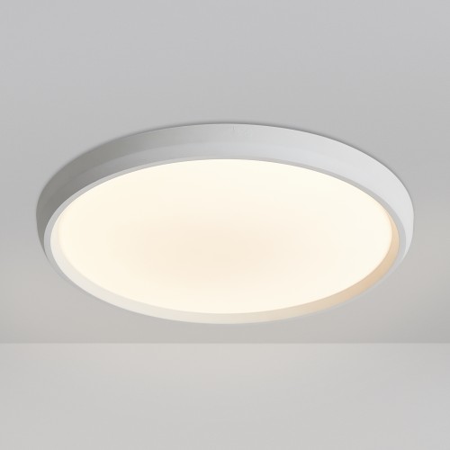 Потолочный светильник Freya FR6211CL-L24W