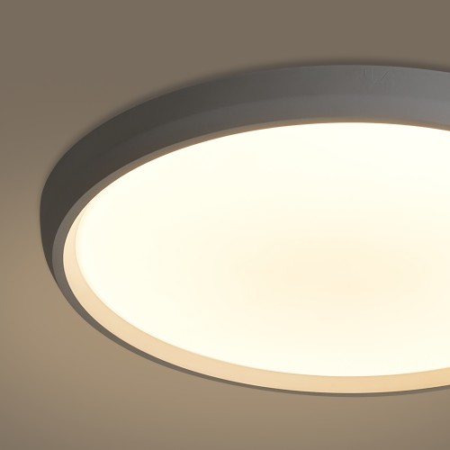 Потолочный светильник Freya FR6211CL-L24W