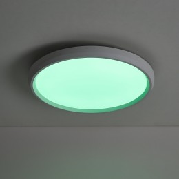 Потолочный светильник Freya FR6211CL-L24W