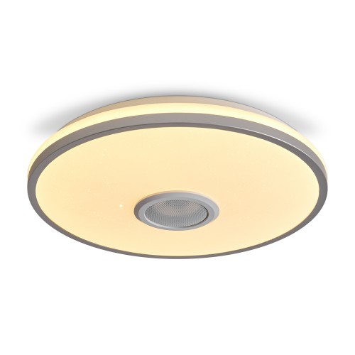 Потолочный светильник Freya FR6226CL-L36W