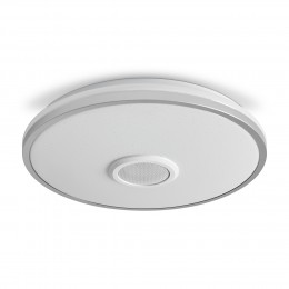 Потолочный светильник Freya FR6226CL-L36W