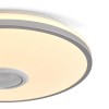 Потолочный светильник Freya FR6226CL-L36W