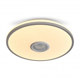 Потолочный светильник Freya FR6226CL-L36W