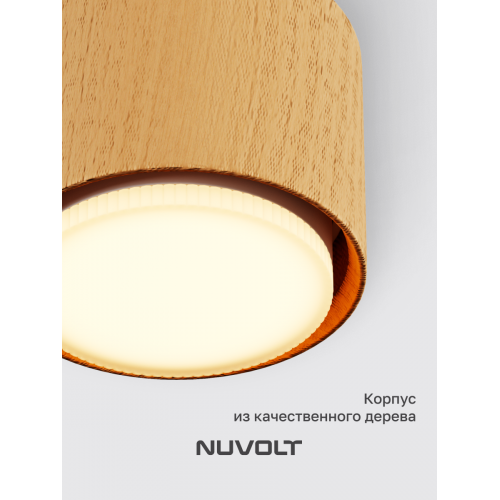Потолочный светильник NUVOLT LDL-007RW