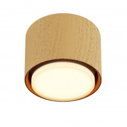 Потолочный светильник NUVOLT LDL-007RW