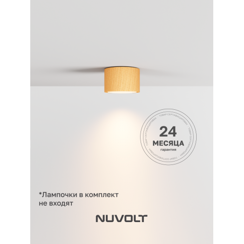 Потолочный светильник NUVOLT LDL-007RW