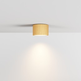 Потолочный светильник NUVOLT LDL-007RW