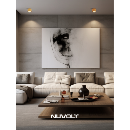 Потолочный светильник NUVOLT LDL-007RW