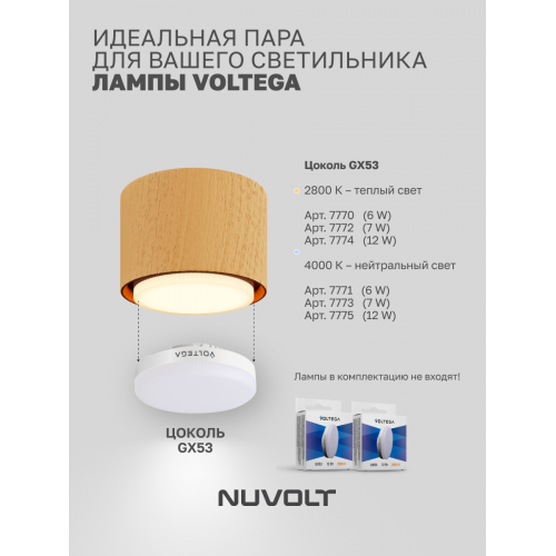 Потолочный светильник NUVOLT LDL-007RW