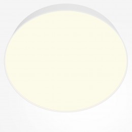 Потолочный светильник Technical C032CL-45W3K-RD-W