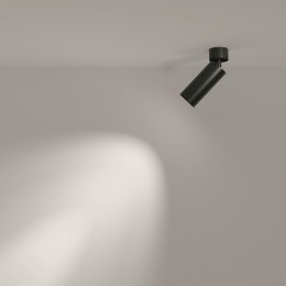 Потолочный светильник Technical C055CL-L12B4K-W-D-B