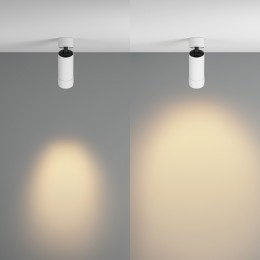 Потолочный светильник Technical C055CL-L12W2.7K-Z-W