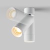 Потолочный светильник Technical C055CL-L12W2.7K-Z-W