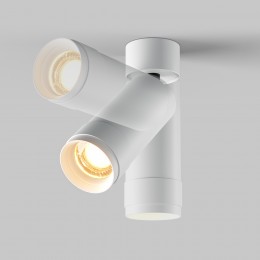 Потолочный светильник Technical C055CL-L12W2.7K-Z-W