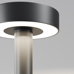 Садово-парковый светильник  Maytoni Outdoor Nail O529FL-L30B3K