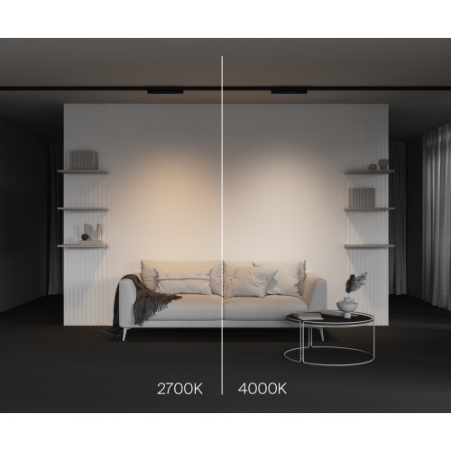 Трековый светильник Technical TR196-3-10W4K-B(N)