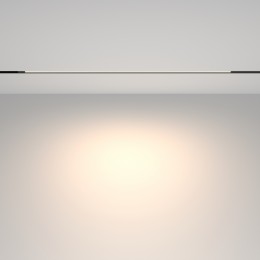 Трековый светильник Technical TR231-2-15W4K-B