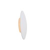 Светильник ST LUCE SL457.501.01