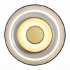Светильник ST LUCE SL6002.201.01