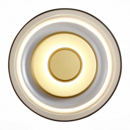 Светильник ST LUCE SL6002.201.01