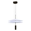 Светильник ST LUCE SL6101.403.01