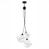 Светильник EVOLUCE SLE103183-03