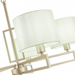 Светильник EVOLUCE SLE105803-05