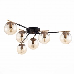 Светильник EVOLUCE SLE106902-06