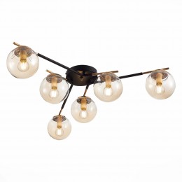 Светильник EVOLUCE SLE106902-06