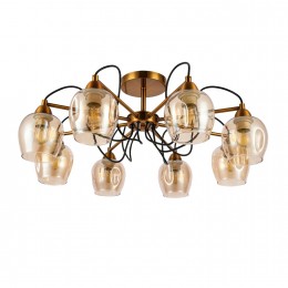 Светильник EVOLUCE SLE110002-08