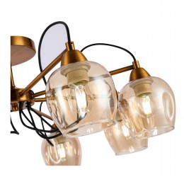 Светильник EVOLUCE SLE110002-08