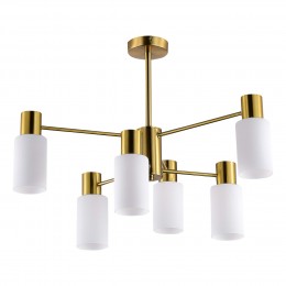 Светильник EVOLUCE SLE1139-302-06