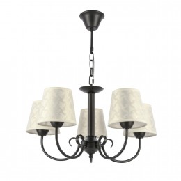 Светильник EVOLUCE SLE120303-05