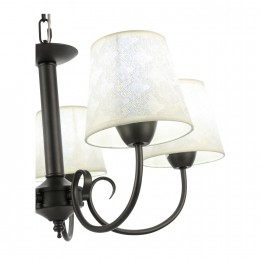 Светильник EVOLUCE SLE120303-05