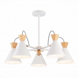 Светильник EVOLUCE SLE125102-05
