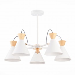 Светильник EVOLUCE SLE125102-05