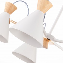 Светильник EVOLUCE SLE125102-05