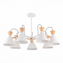 Светильник EVOLUCE SLE125102-07