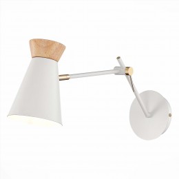 Светильник EVOLUCE SLE1252-501-01