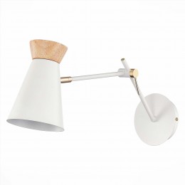 Светильник EVOLUCE SLE1252-501-01