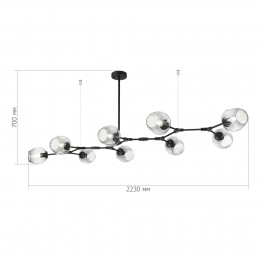 Светильник EVOLUCE SLE154843-09