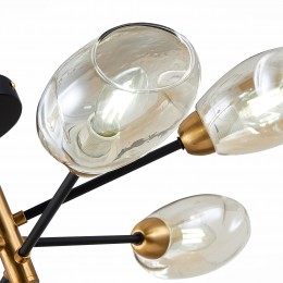 Светильник EVOLUCE SLE155502-06