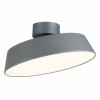 Светильник EVOLUCE SLE600272-01