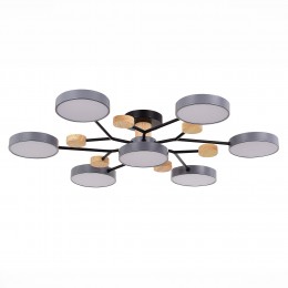 Светильник EVOLUCE SLE6006-702-07