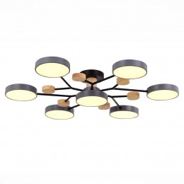 Светильник EVOLUCE SLE6006-702-07