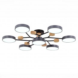 Светильник EVOLUCE SLE6006-702-07