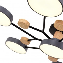 Светильник EVOLUCE SLE6006-702-07