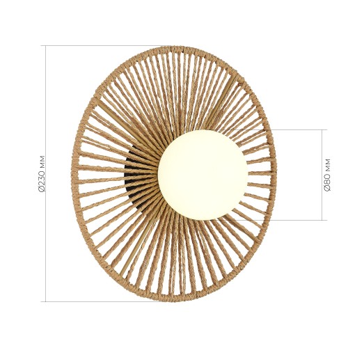 EVOLUCE SLE6022-601-01